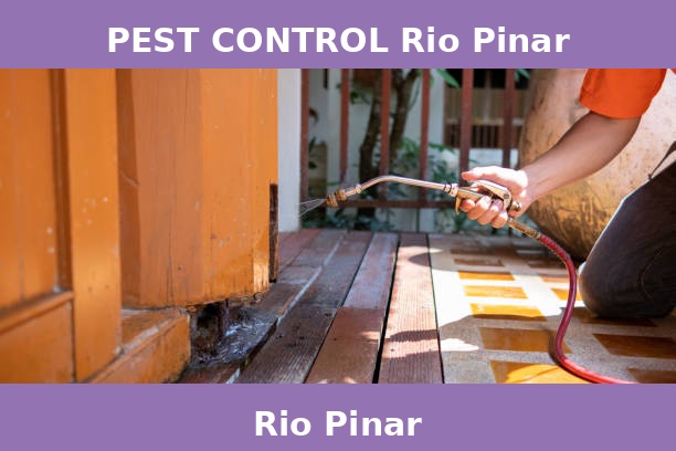 PEST CONTROL Rio Pinar